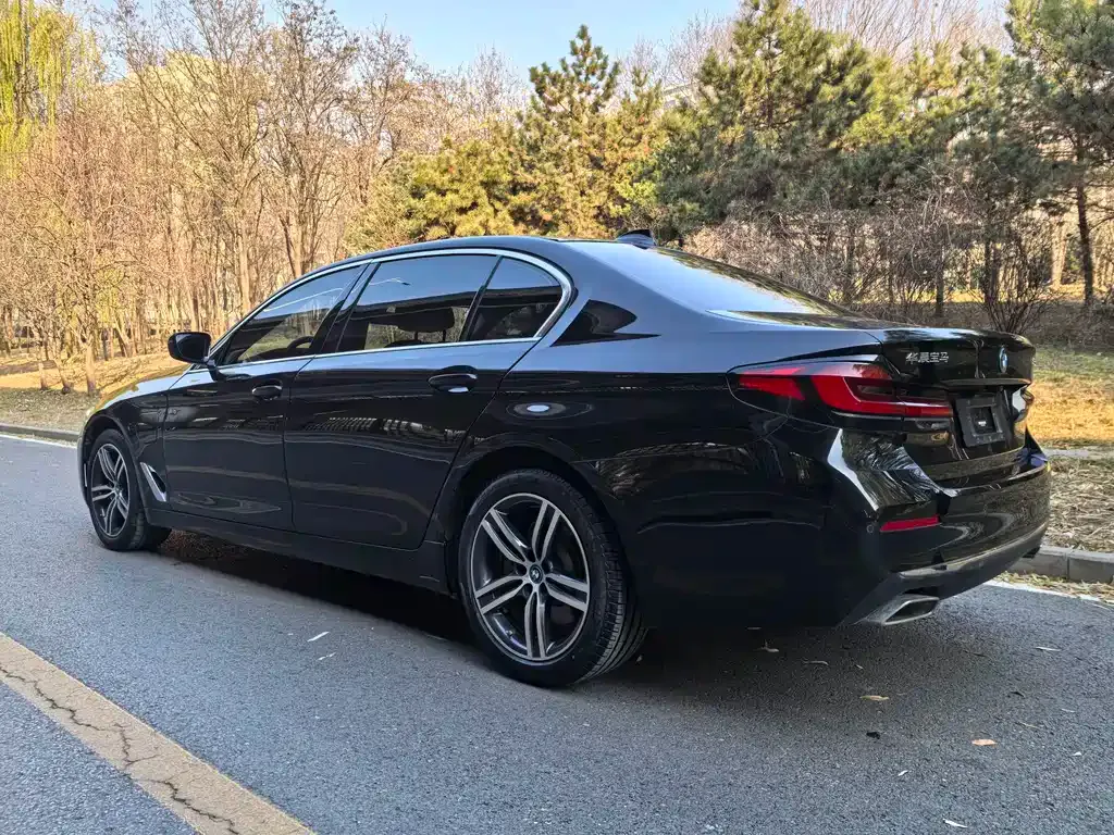 BMW 5 Series New Energy 2022 из CN, фото 4