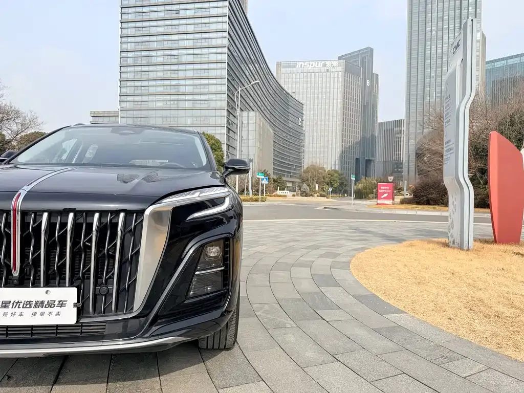 Hongqi HS3 PHEV 2024 из CN, фото 4