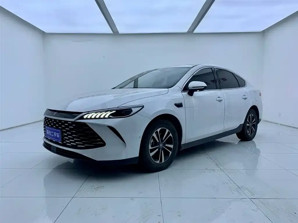 BYD Qin PLUS 2025 из CN, фото 1