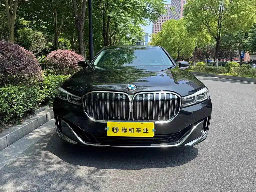 BMW 7 Series 2021 из CN, фото 9