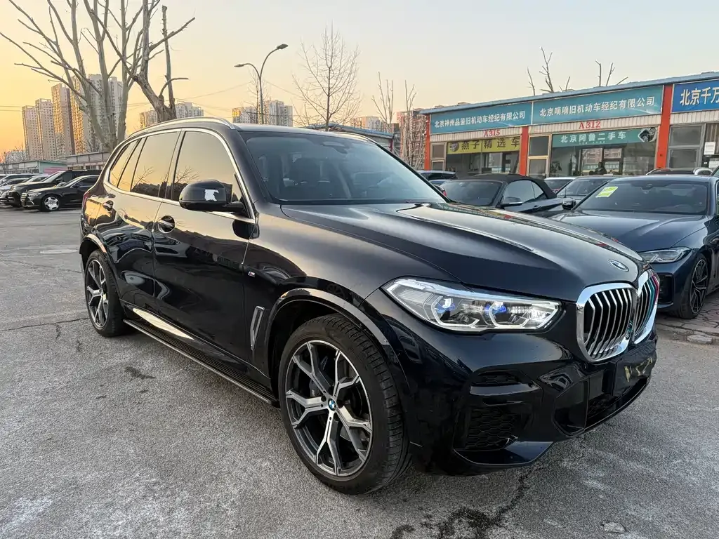 BMW X5 (Import) 2022 из CN, фото 4