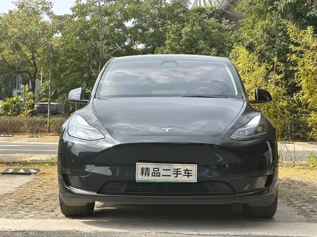 Tesla Model Y — фото 2