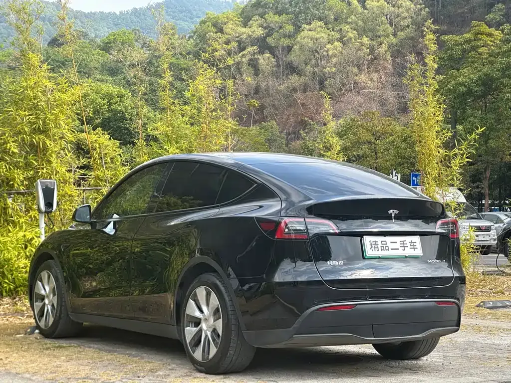 Tesla Model Y — фото 8