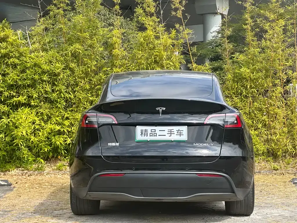 Tesla Model Y — фото 9
