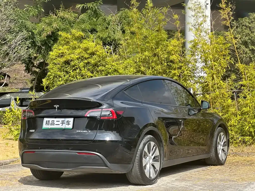 Tesla Model Y — фото 6