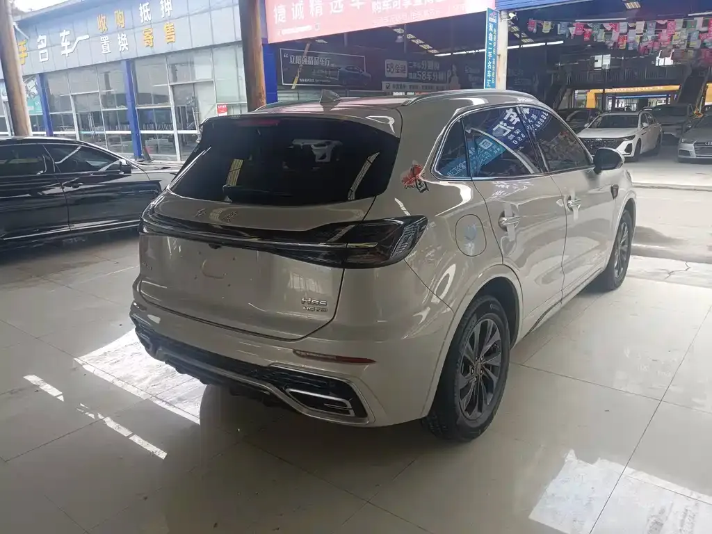 Hongqi HS5 2024 из CN, фото 10