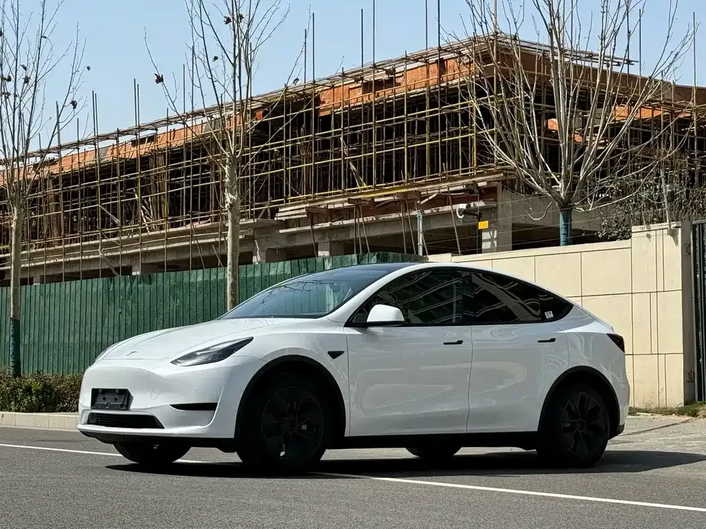 Tesla Model Y 2023 из CN, фото 1