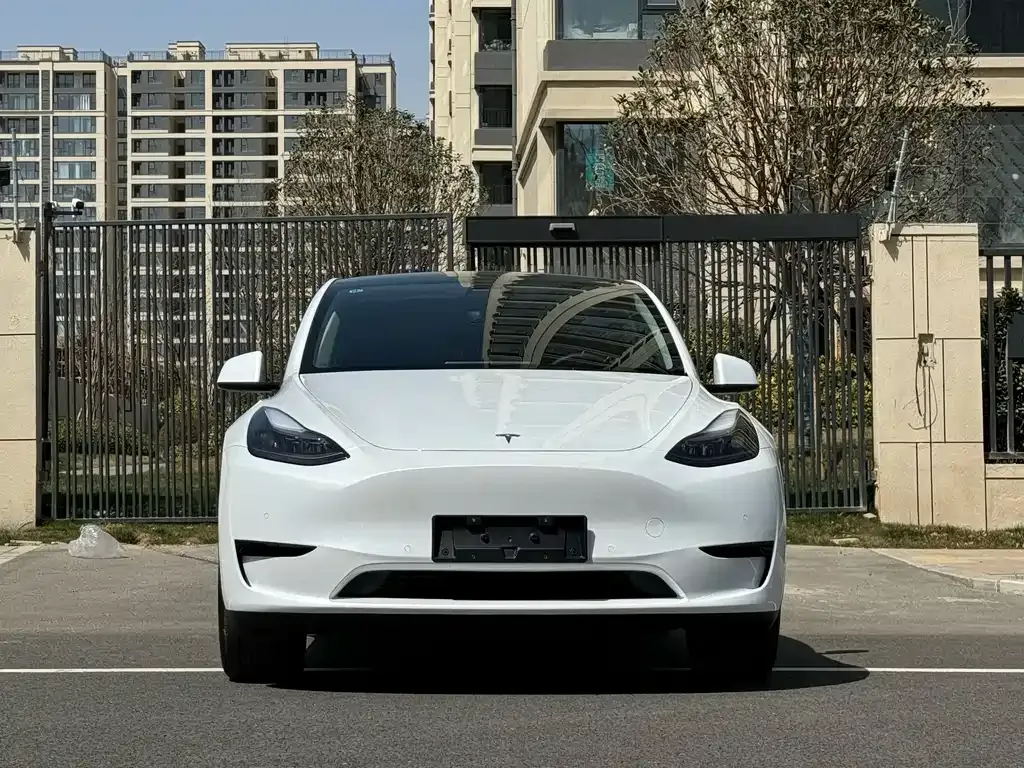 Tesla Model Y 2023 из CN, фото 9