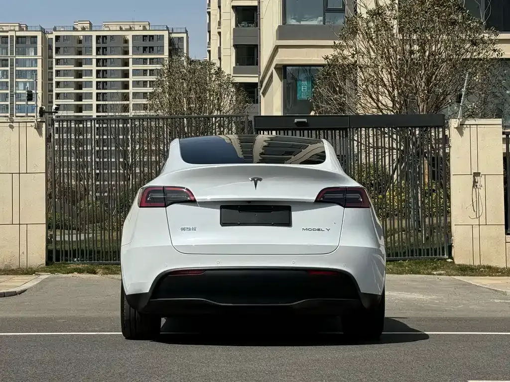 Tesla Model Y 2023 из CN, фото 5
