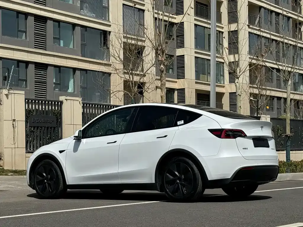 Tesla Model Y 2023 из CN, фото 7