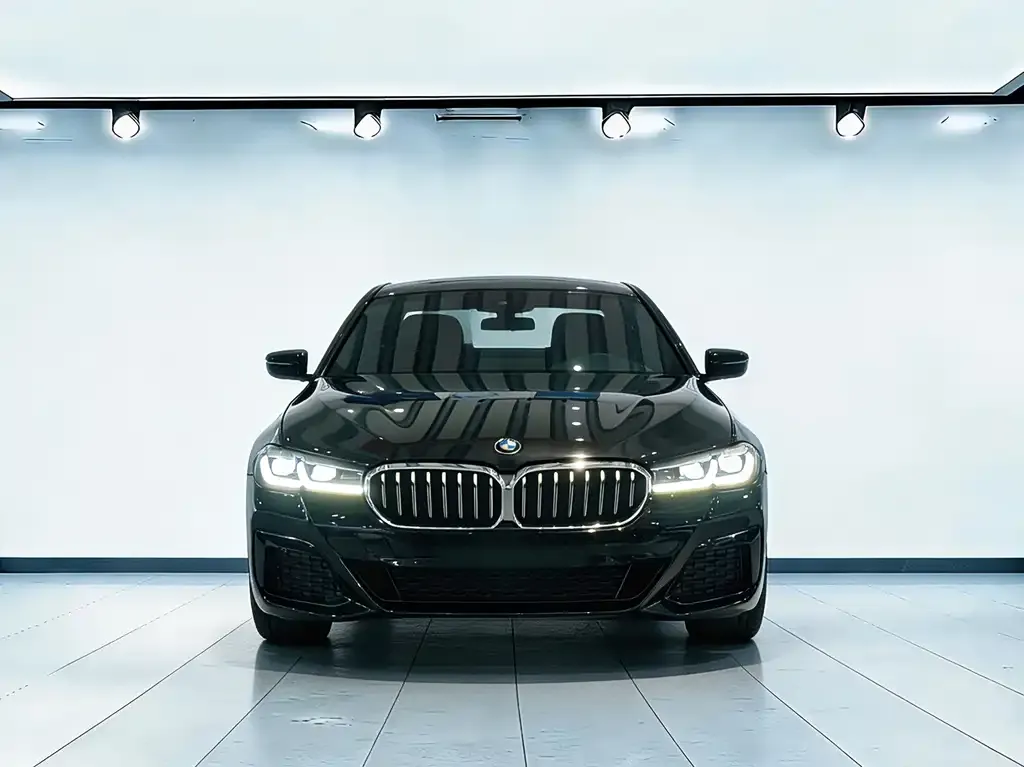 BMW 5 Series — фото 4