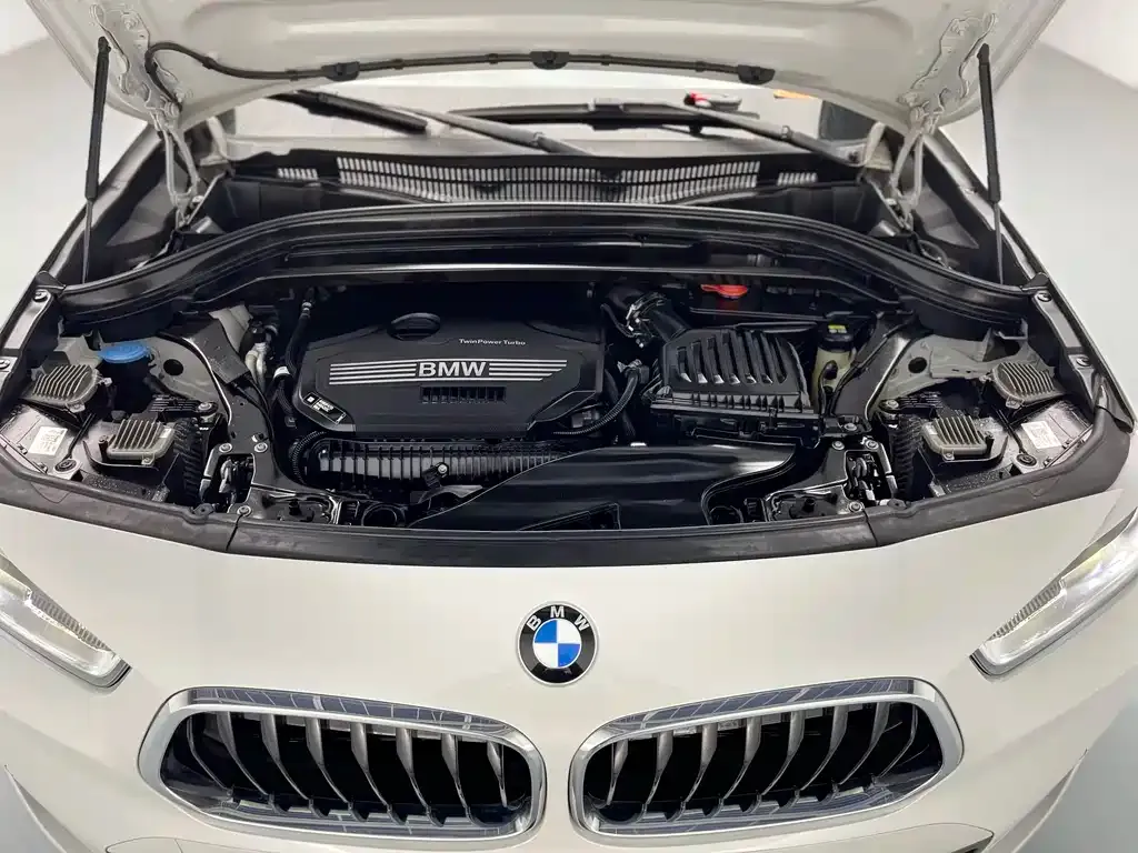 BMW X2 2022 из CN, фото 4