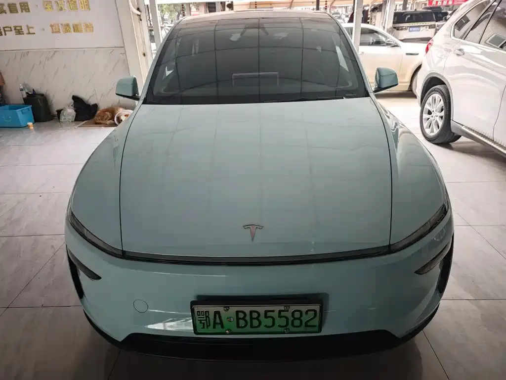 Tesla Model Y 2025 из CN, фото 4