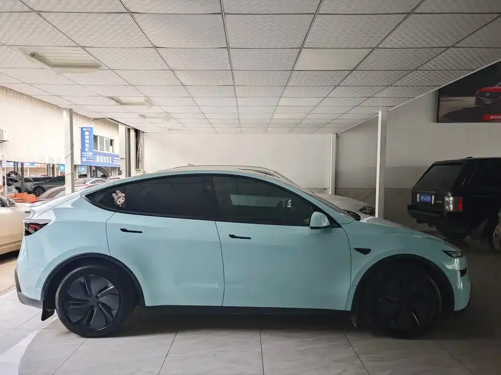 Tesla Model Y 2025 из CN, фото 7