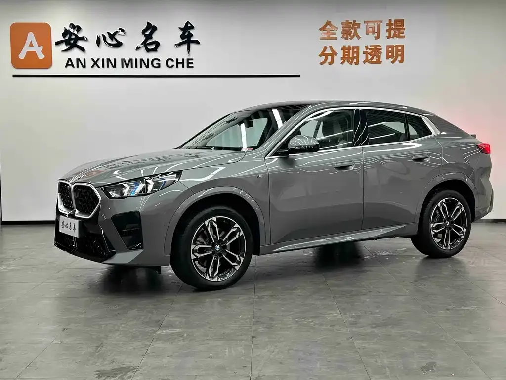 BMW X2 (Import) — фото 1