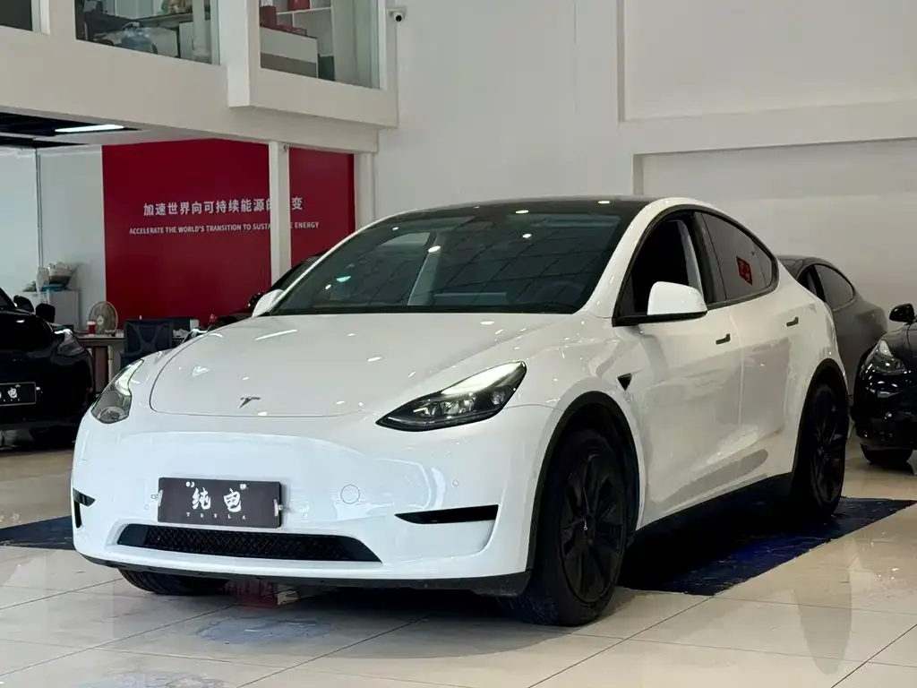 Tesla Model Y 2024 из CN, фото 1