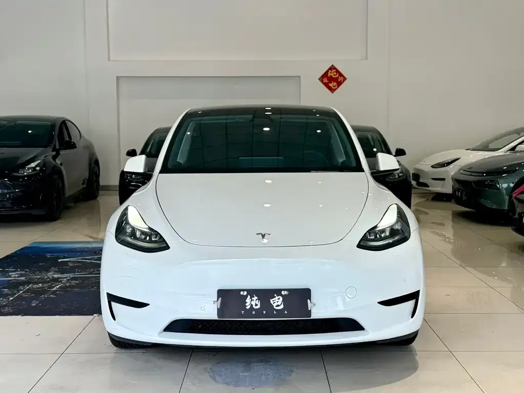 Tesla Model Y 2024 из CN, фото 2