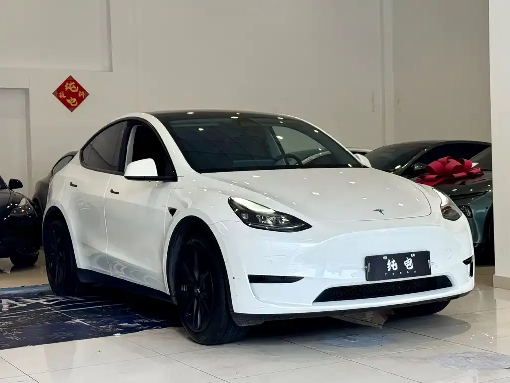 Tesla Model Y 2024 из CN, фото 4