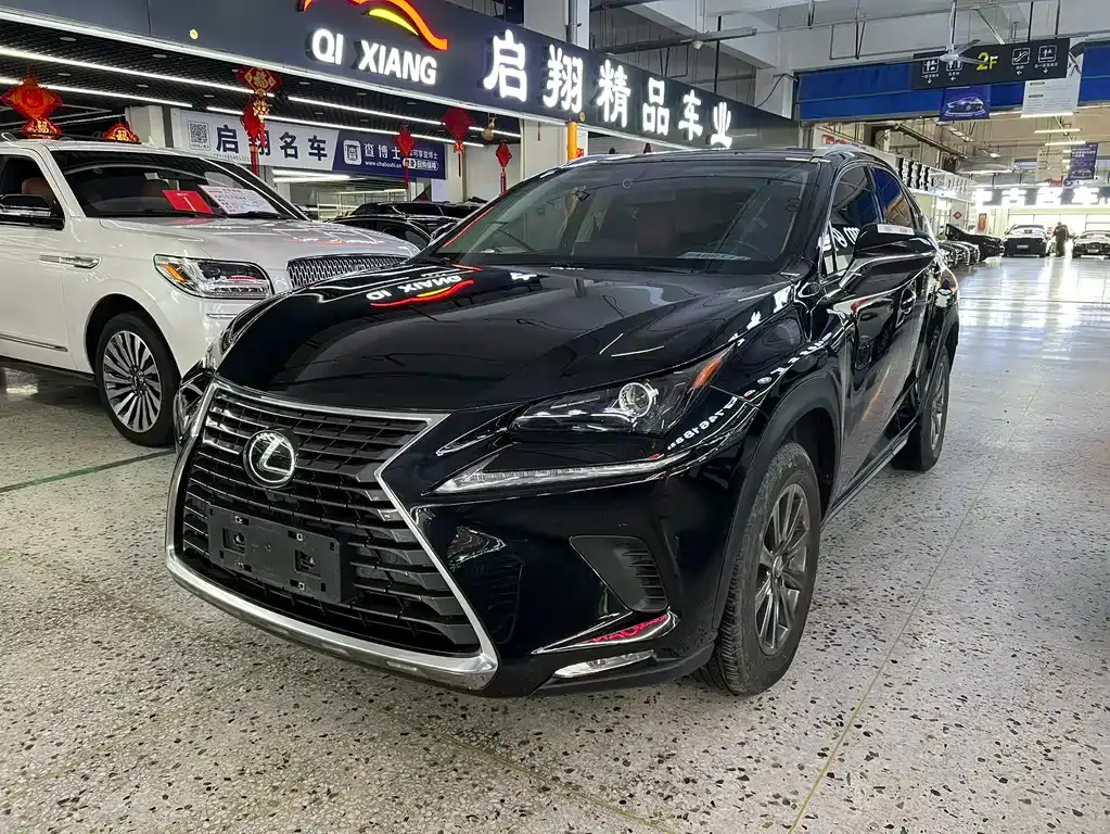 Lexus NX 2021 из CN, фото 1