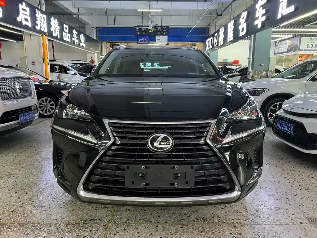 Lexus NX 2021 из CN, фото 3