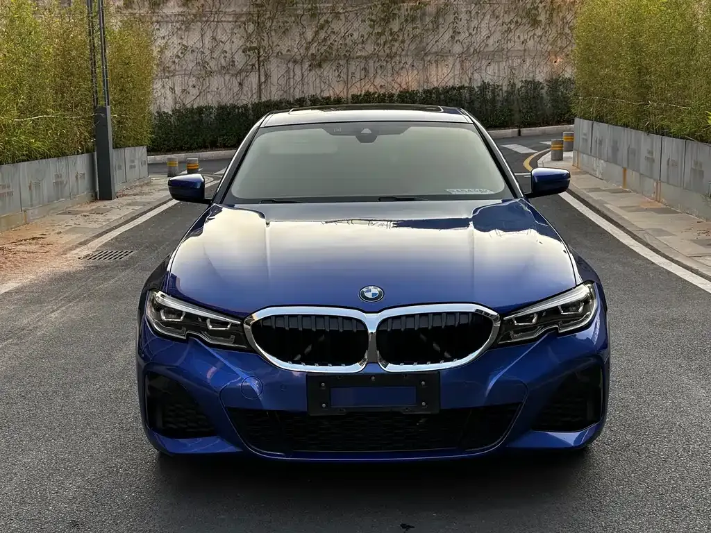 BMW 3 Series 2021 из CN, фото 9