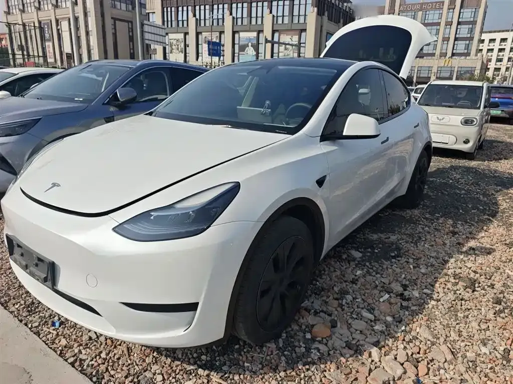 Tesla Model Y — фото 1