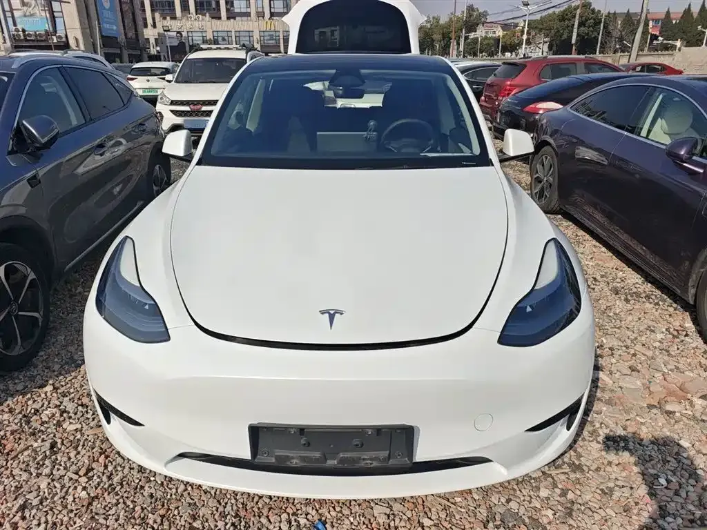 Tesla Model Y — фото 3