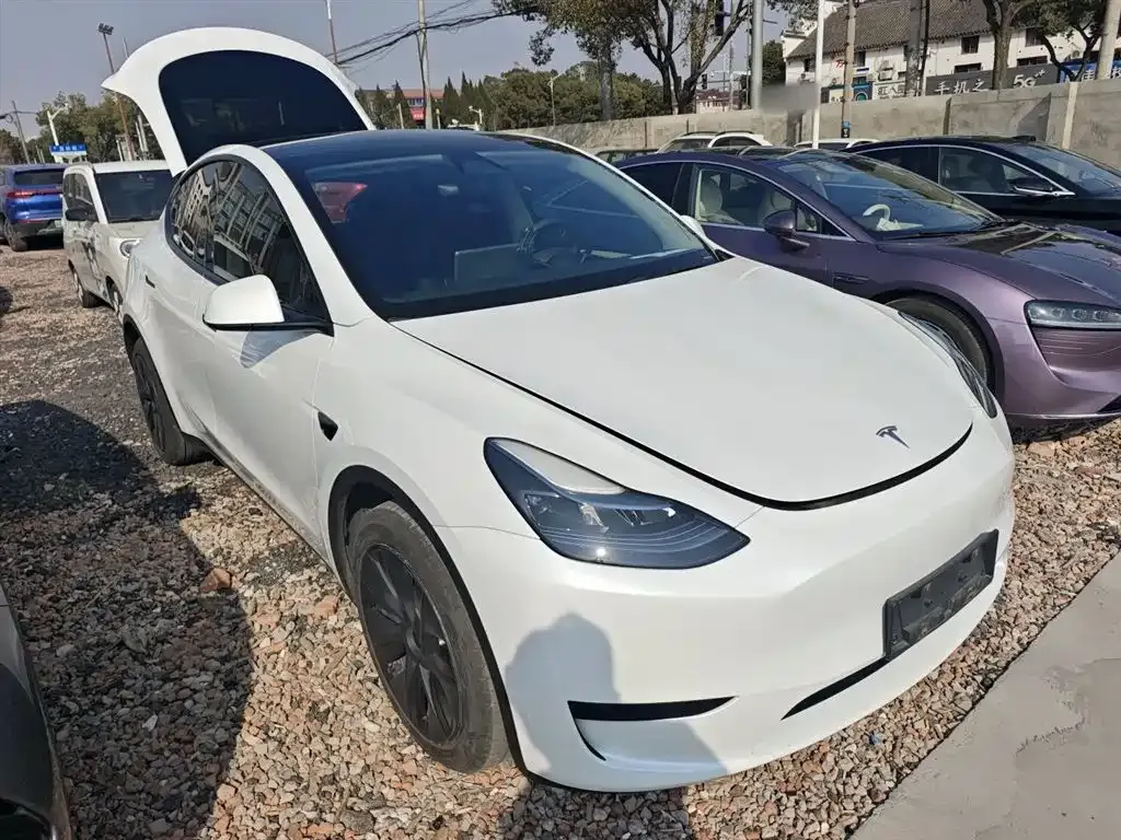 Tesla Model Y — фото 4