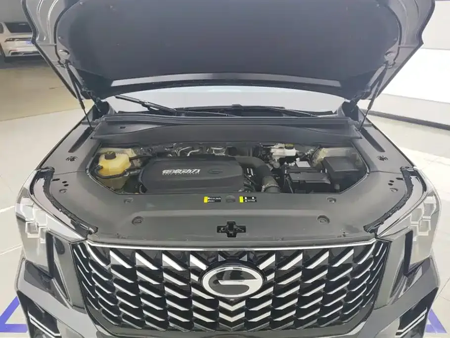 GAC Motor Trumpchi GS8 2024 из CN, фото 9