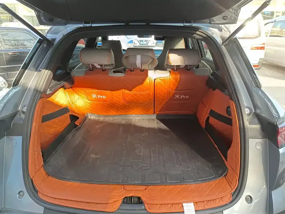 BYD Pro New Energy 2024 из CN, фото 7