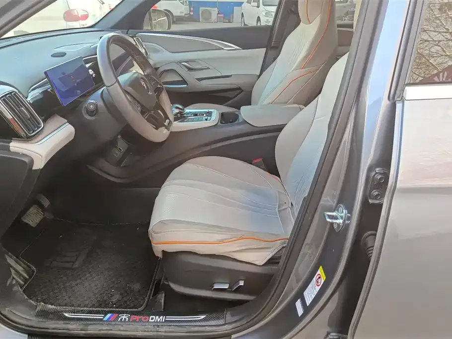 BYD Pro New Energy 2024 из CN, фото 9