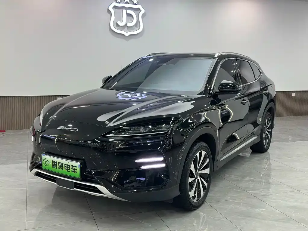 BYD PLUS New Energy 2024 из CN, фото 1
