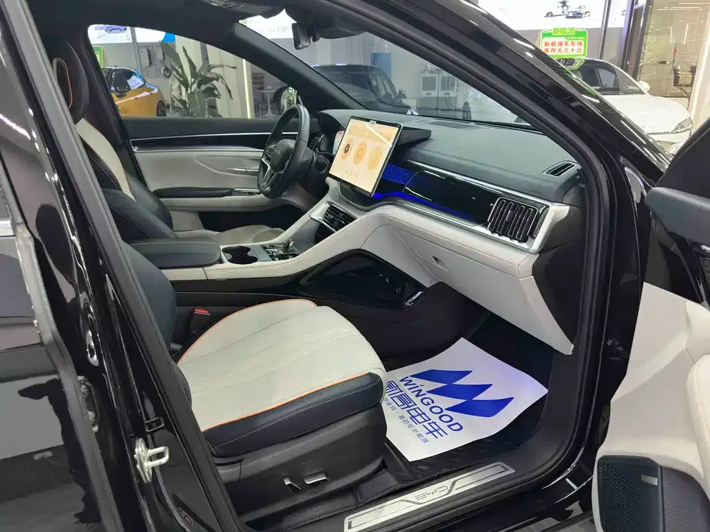 BYD PLUS New Energy 2024 из CN, фото 2