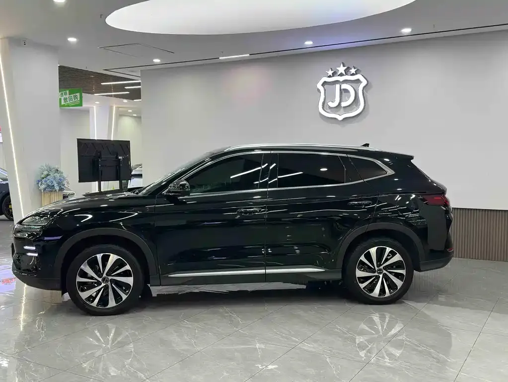 BYD PLUS New Energy 2024 из CN, фото 4