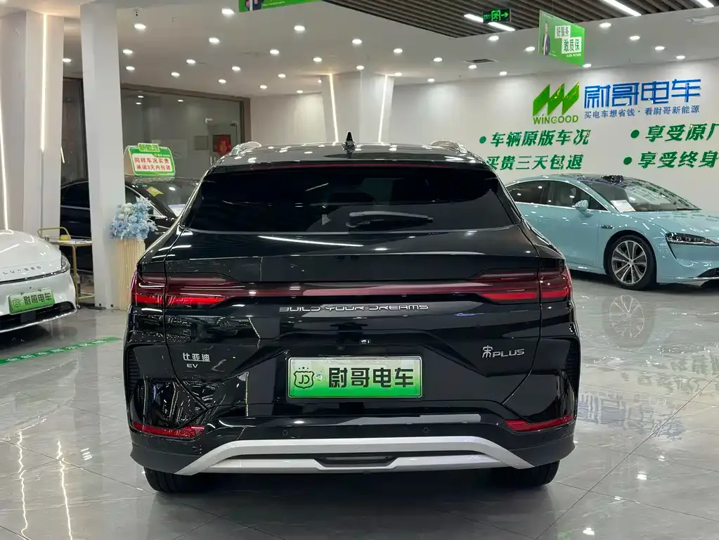 BYD PLUS New Energy 2024 из CN, фото 5