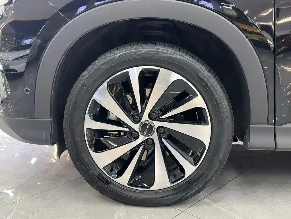 BYD PLUS New Energy 2024 из CN, фото 9