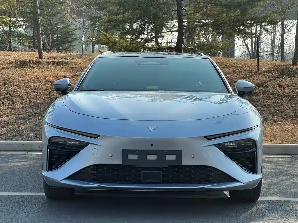 Neta S Shooting Brake 2025 из CN, фото 7