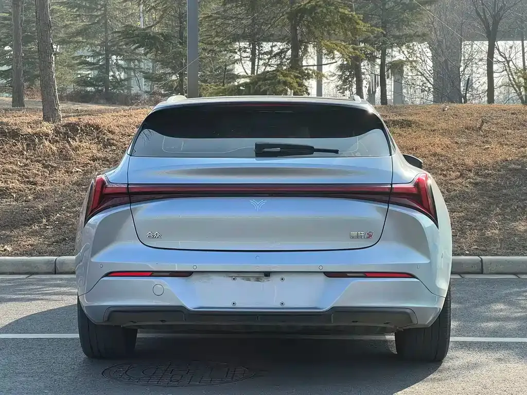 Neta S Shooting Brake 2025 из CN, фото 8