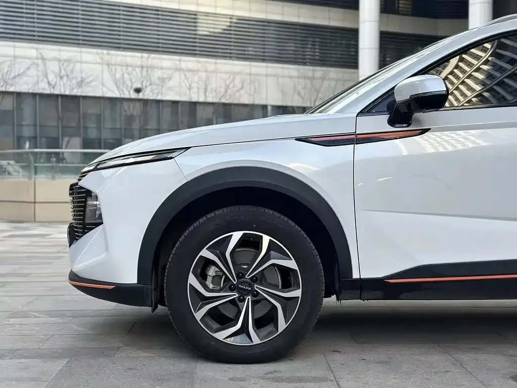 Haval Shenshou 2022 из CN, фото 9