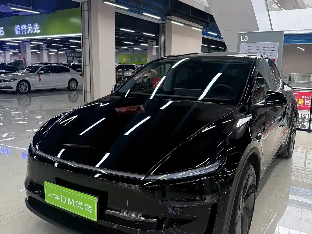 Tesla Model Y 2025 из CN, фото 1