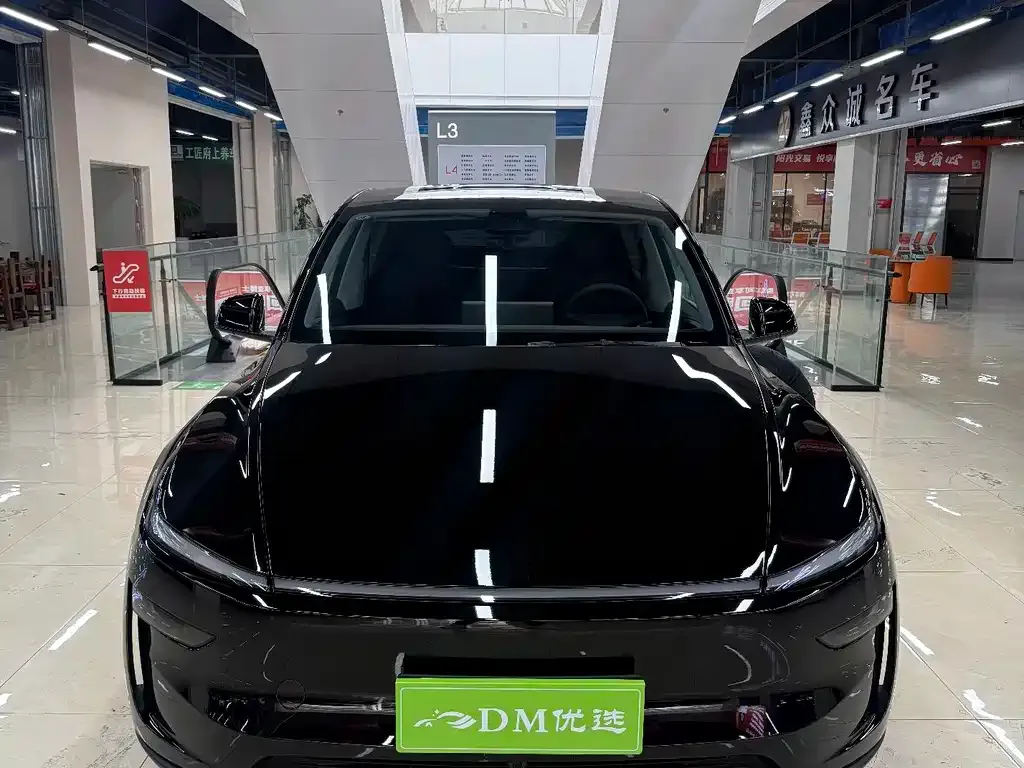 Tesla Model Y 2025 из CN, фото 3