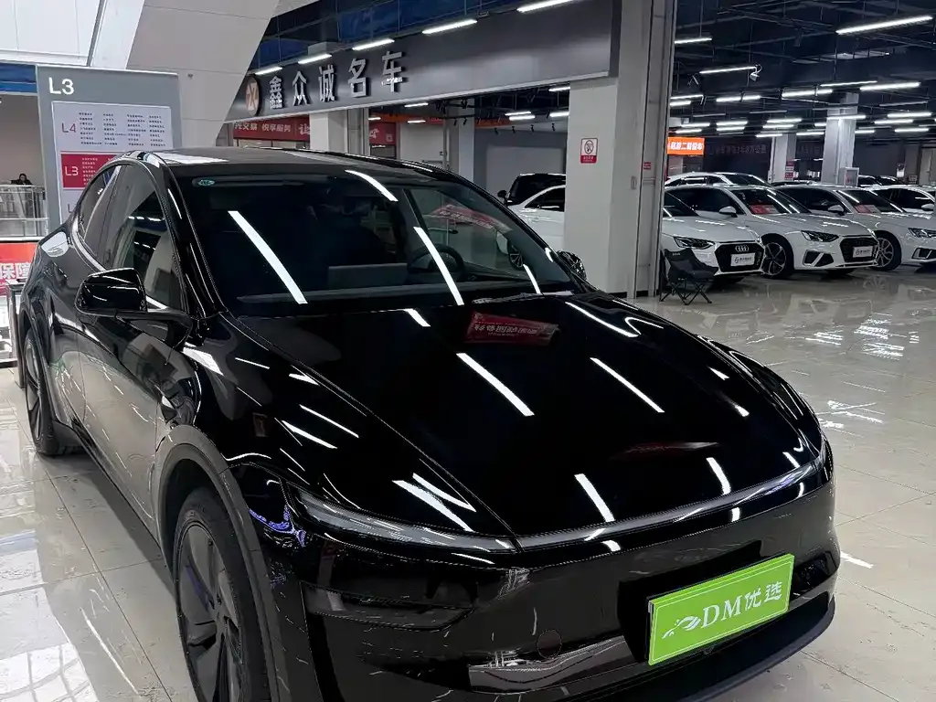 Tesla Model Y 2025 из CN, фото 7