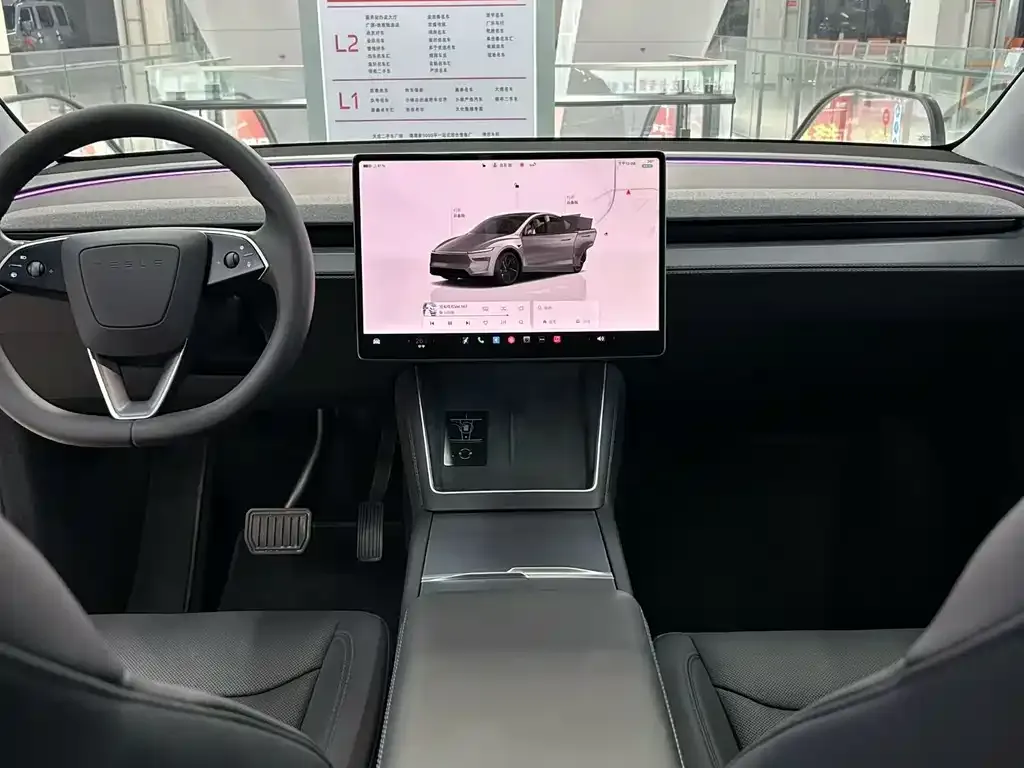 Tesla Model Y 2025 из CN, фото 6