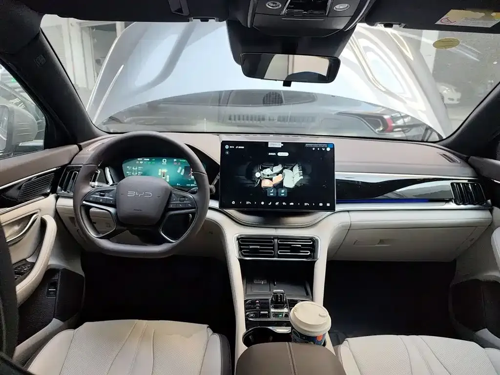 BYD PLUS New Energy — фото 10