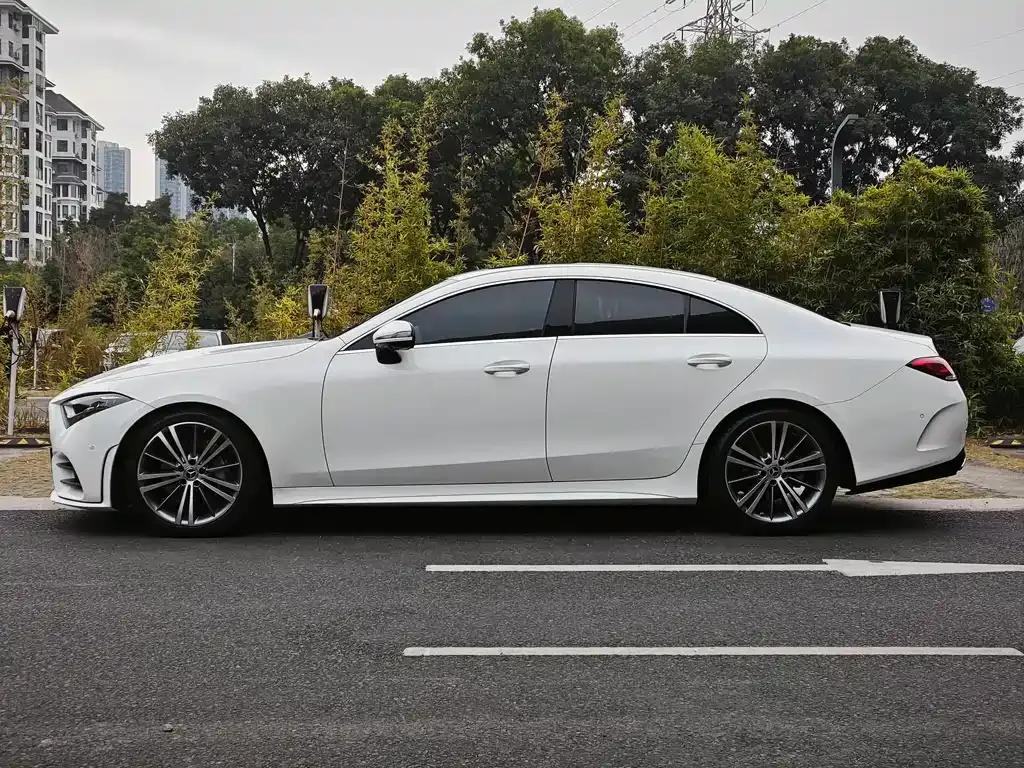 Mercedes-Benz CLS 2021 из CN, фото 10
