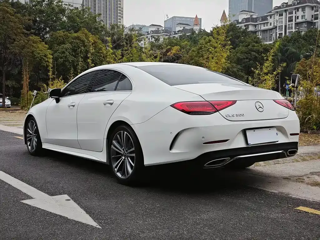 Mercedes-Benz CLS 2021 из CN, фото 7
