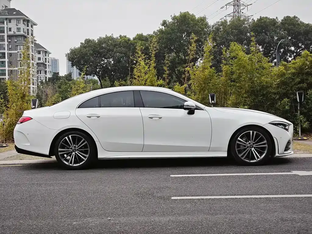 Mercedes-Benz CLS 2021 из CN, фото 8