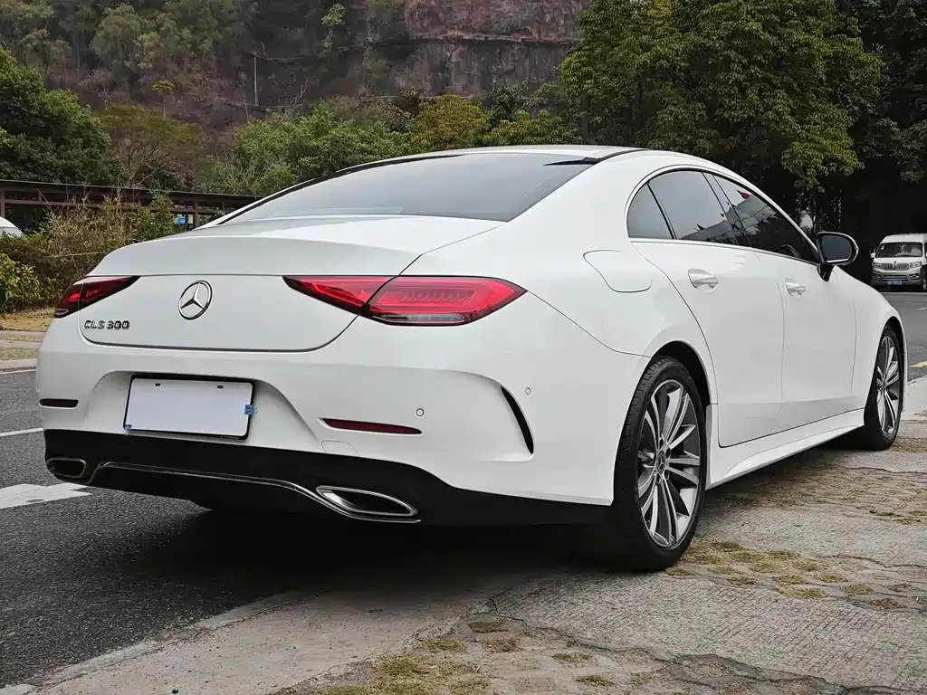Mercedes-Benz CLS 2021 из CN, фото 5