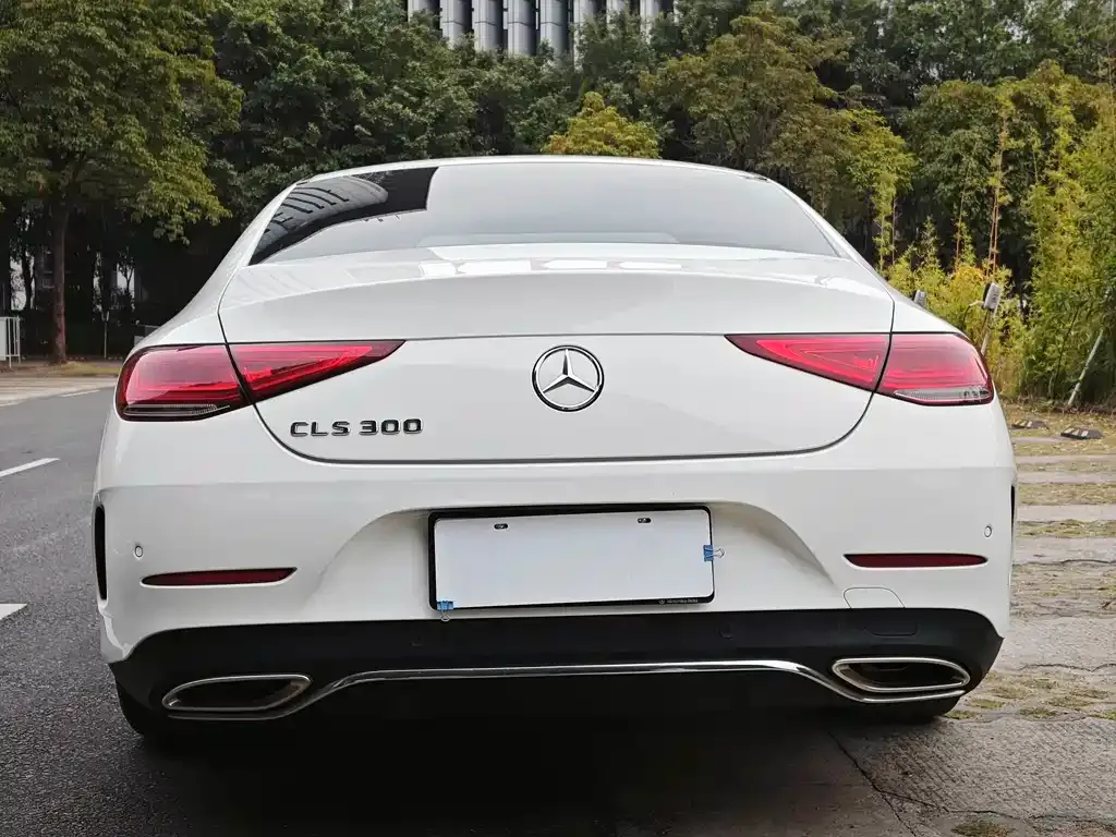 Mercedes-Benz CLS 2021 из CN, фото 9