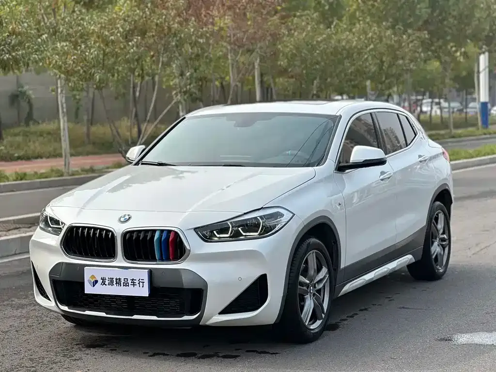 BMW X2 2021 из CN, фото 1